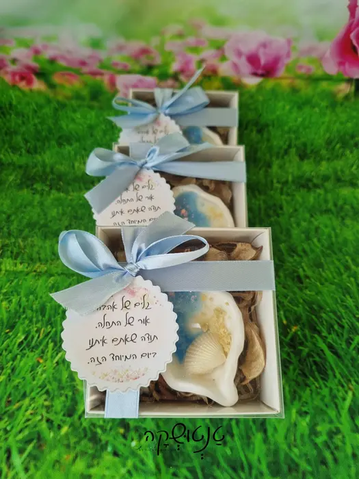 🐚 נר קונכייה בעיצוב ים ובריח רוח ים